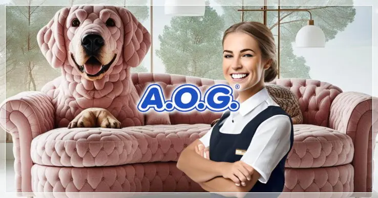 Haushälterin Salzburg Salzburg Haushälterin